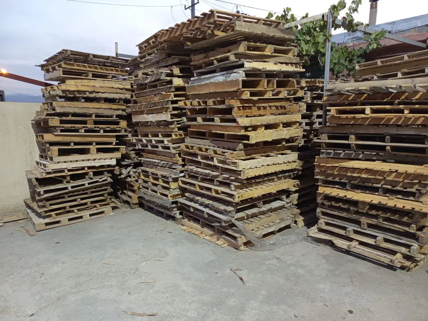 پالت معمولی|عمده‌فروشی|ربط, |دیوار