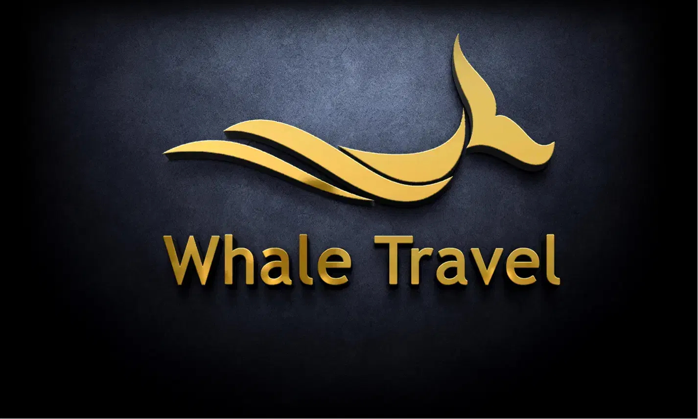 بلیط هواپیما تمامی خطوط کمترین نرخ پرواز خارجی|تور و چارتر|تهران, جردن|دیوار