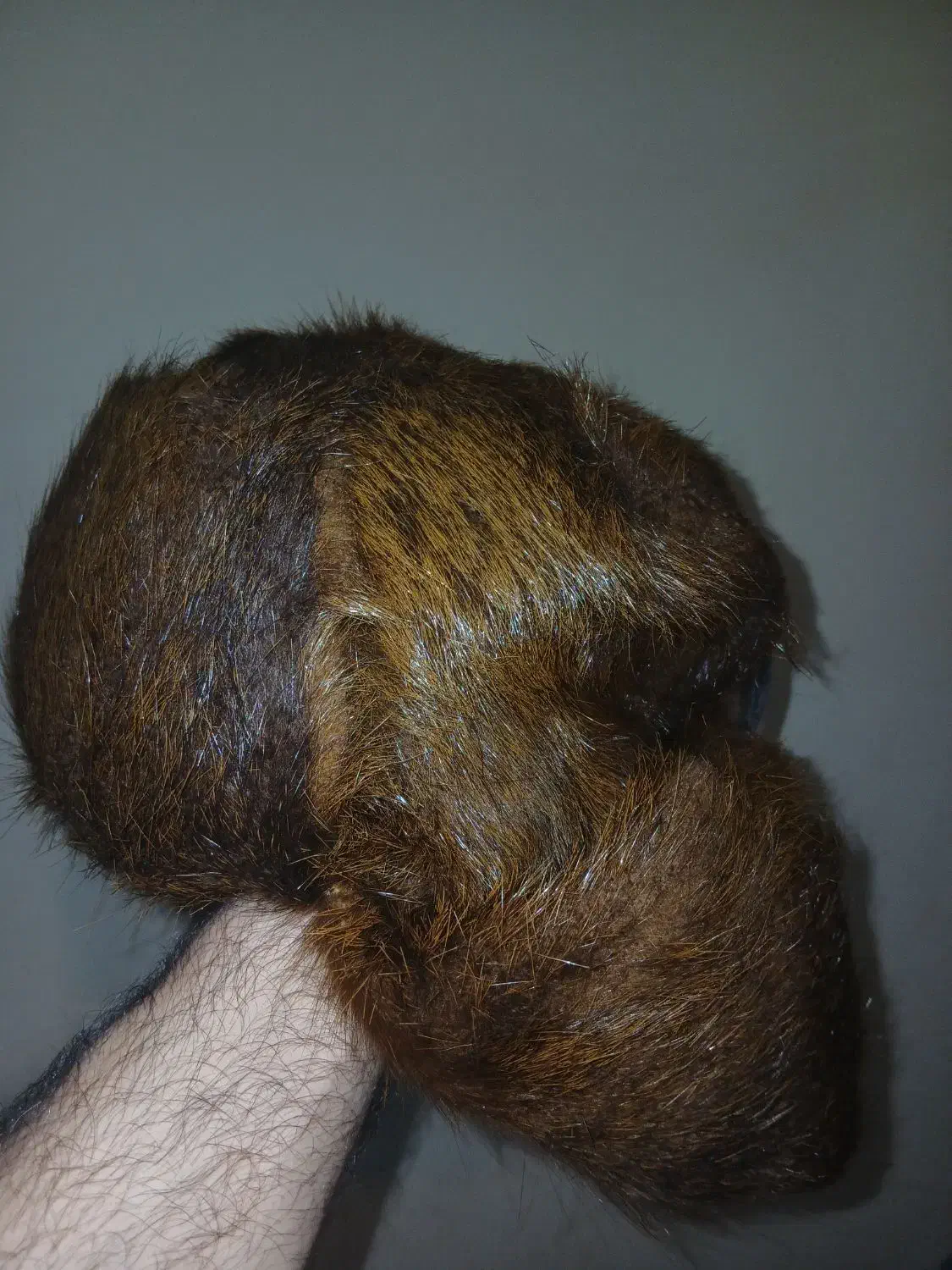 کلاه روسی|لباس|تهران, تسلیحات|دیوار