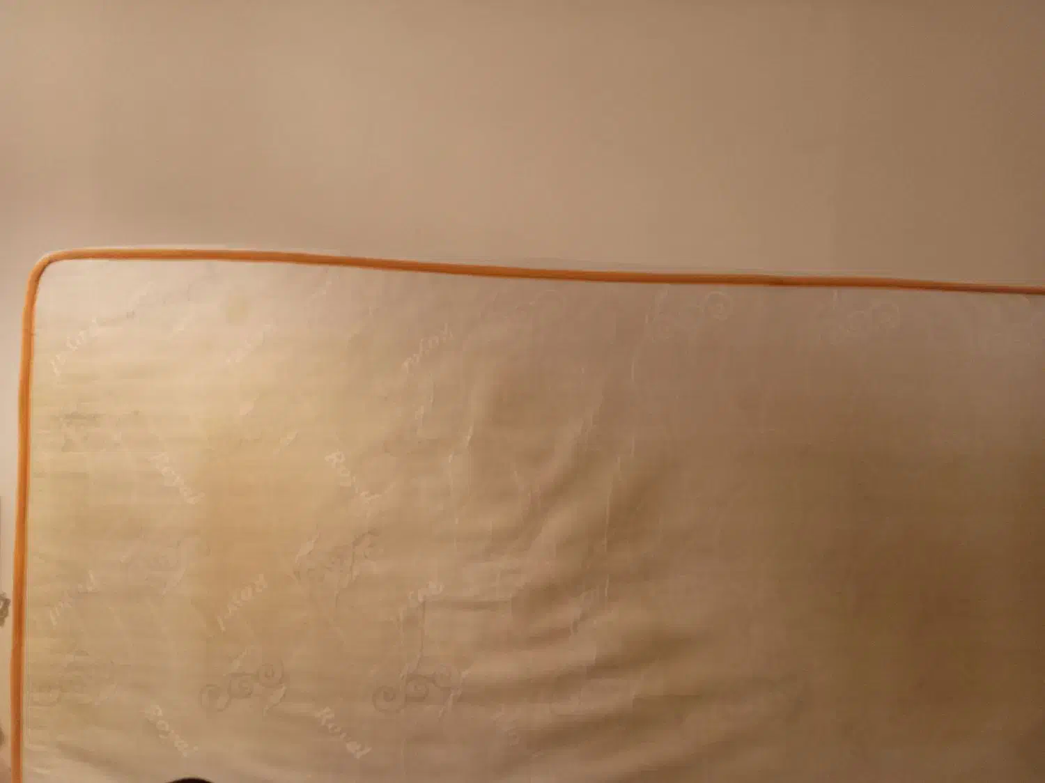 خوشخواب نوجوان|تشک تختخواب|تهران, باغ فیض|دیوار