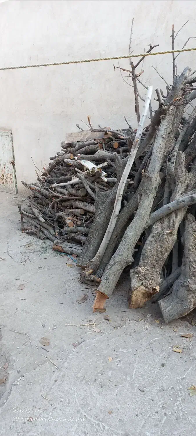فروش چوب خشک|خدمات باغبانی و درختکاری|شهریار, رزکان|دیوار
