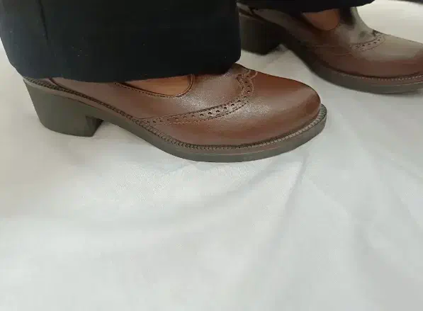 کفش زنانه|کیف، کفش، کمربند|بندرعباس, |دیوار