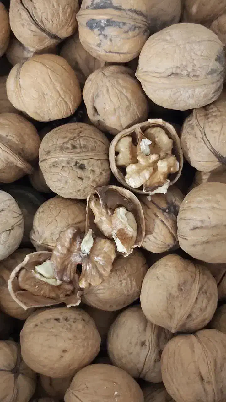 گردو بادام زمینی بادام درختی مغز گردو مویز کشمش|خوردنی و آشامیدنی|قم, باسکول|دیوار