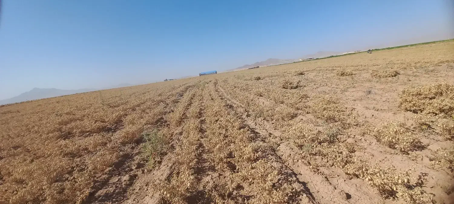 زمین اجاره می خوام|فعالیت داوطلبانه|دهگلان, |دیوار