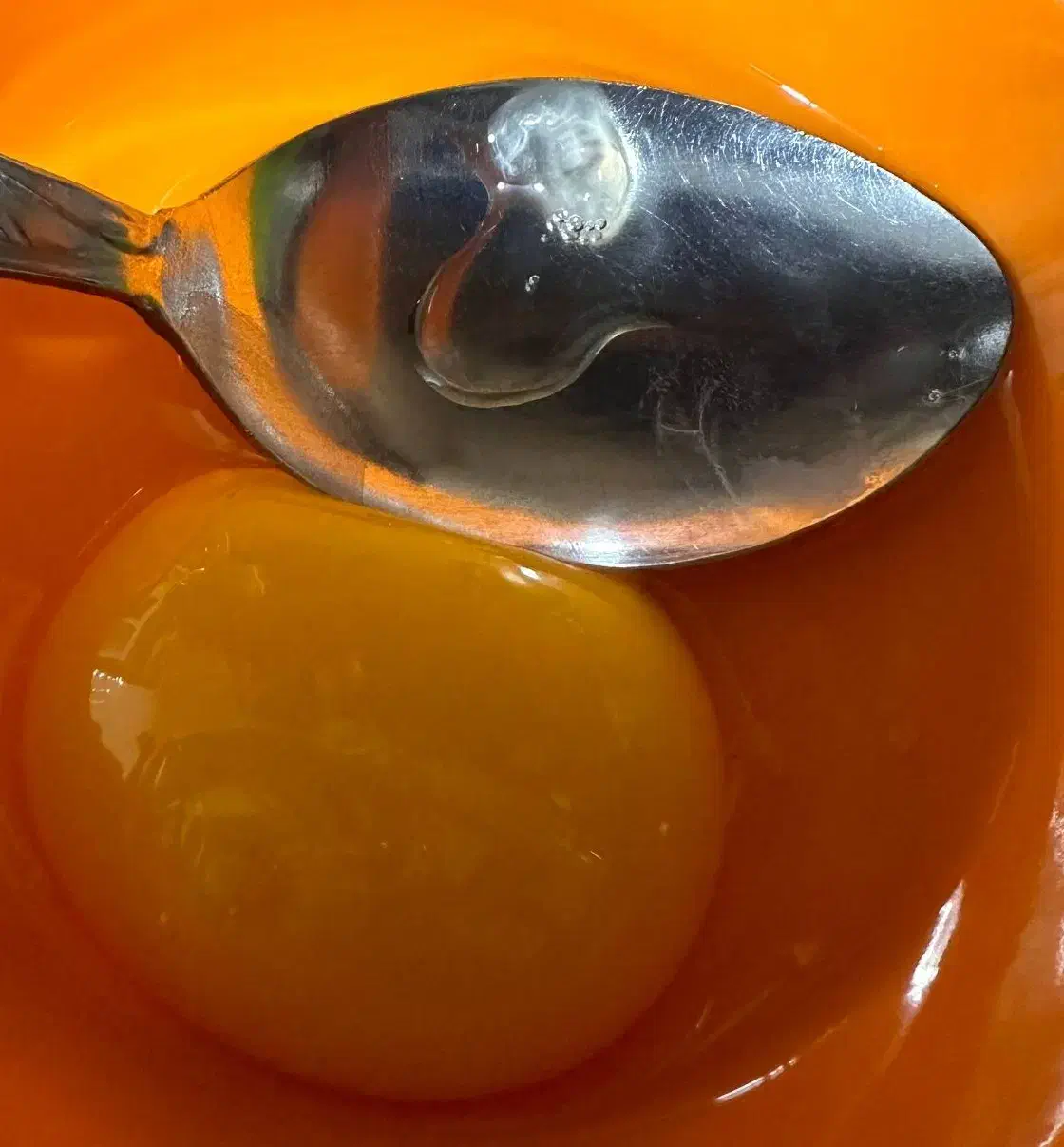 تخم مرغ نطفه دار گلین|حیوانات مزرعه|خورموج, |دیوار