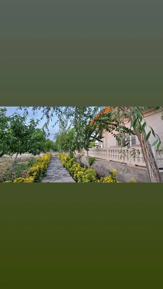 ۱۵۶۰ متر باغ ویلا شهرکی مناسب سرمایه گذاری|فروش زمین و ملک کلنگی|محمدشهر, محمدشهر|دیوار