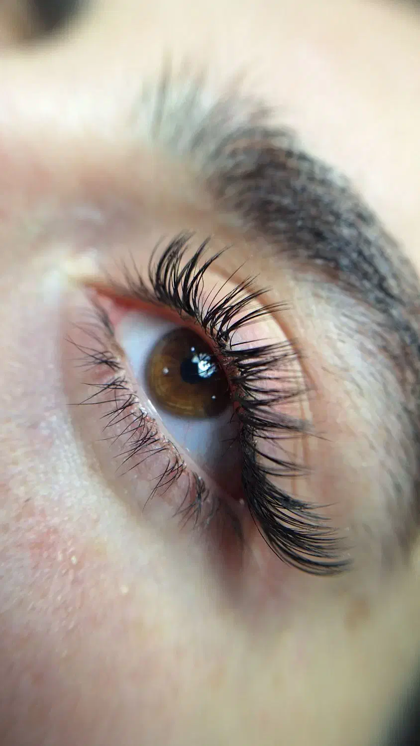 جشنواره تخفیف اکستنشن مژه|خدمات آرایشگری و زیبایی|الوند, |دیوار