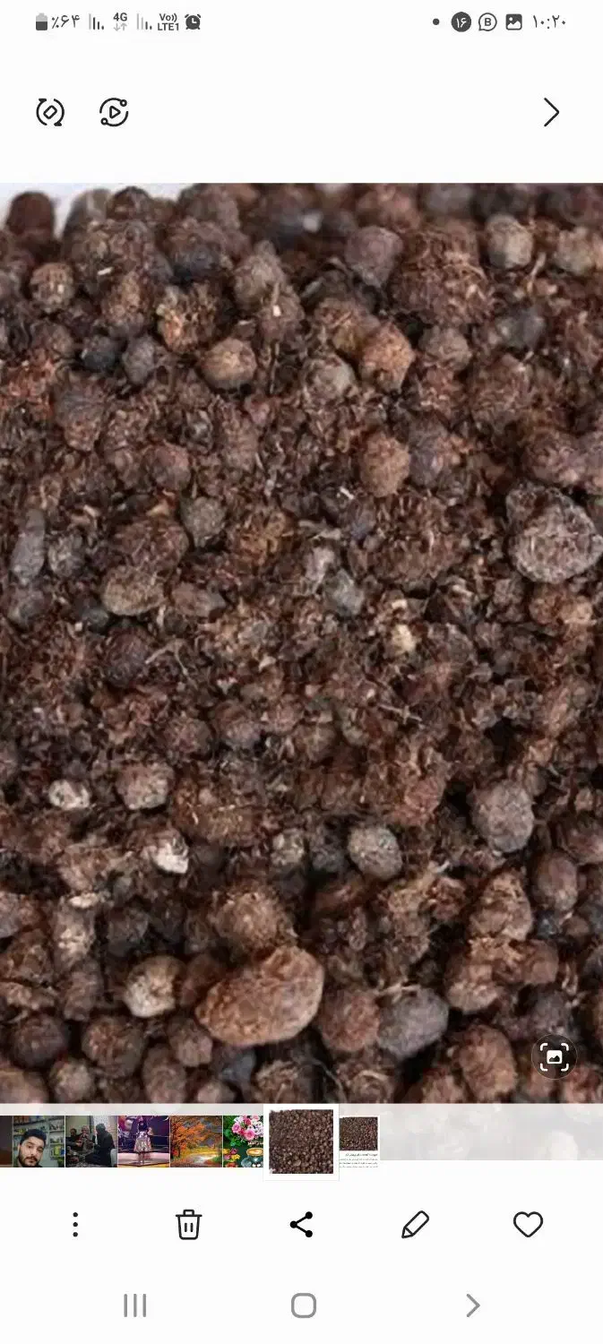 کود گوسفندی بشرط.فقط سرویسی|گل و گیاه طبیعی|اهواز, پادادشهر|دیوار