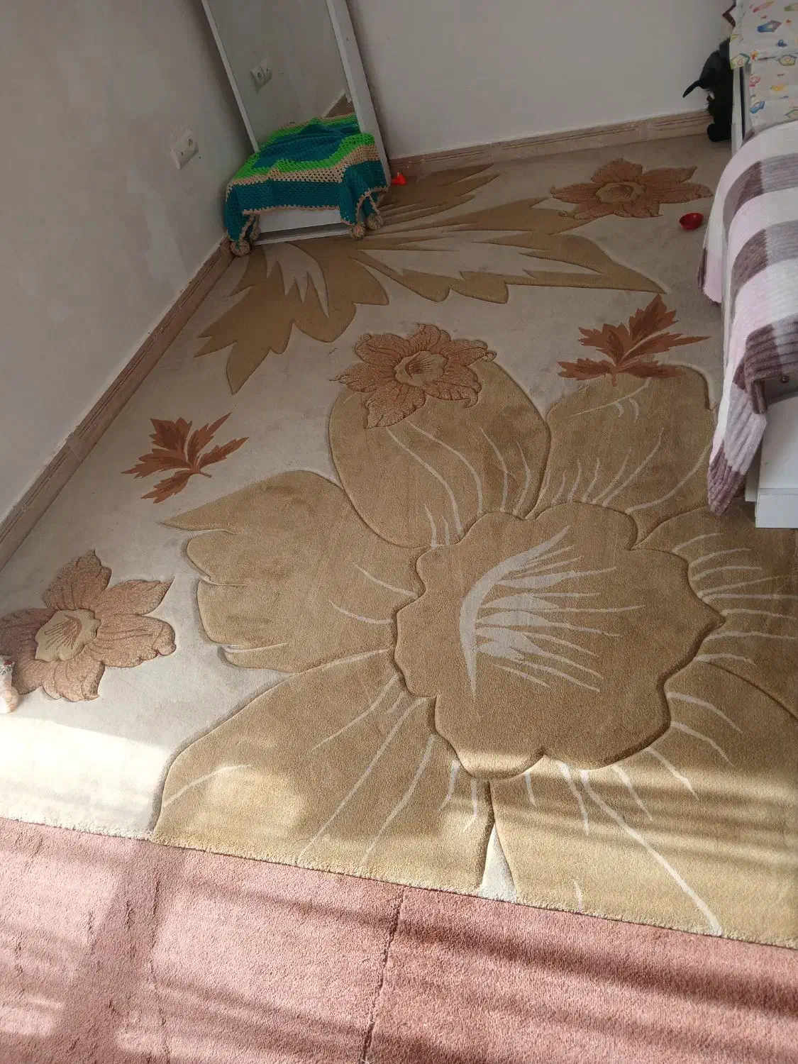 ۲ تا  گلیم فرش در حد فرش .|گلیم، جاجیم، گبه|بندرعباس, |دیوار