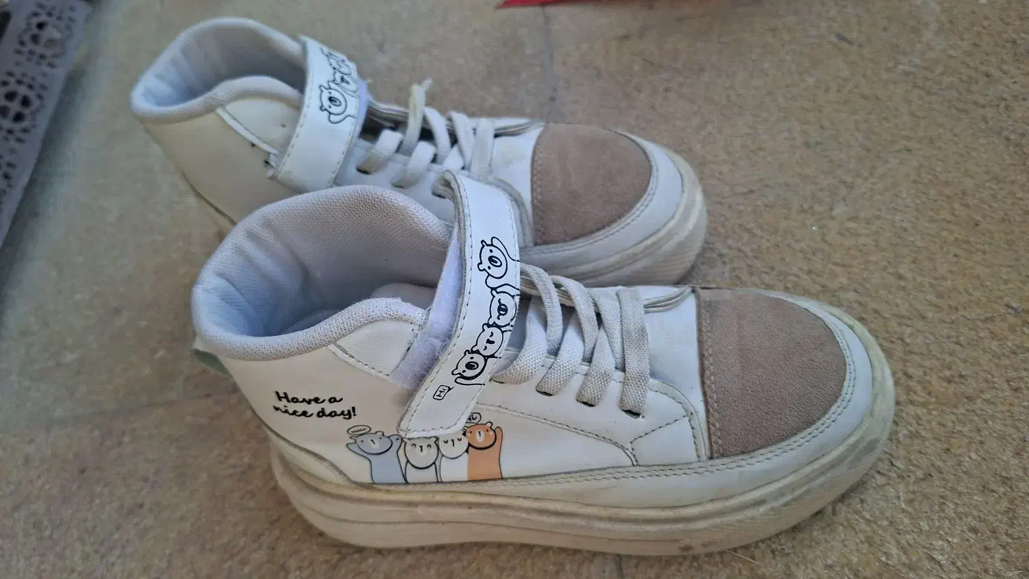 کفش نو|کیف، کفش، کمربند|ماکو, |دیوار