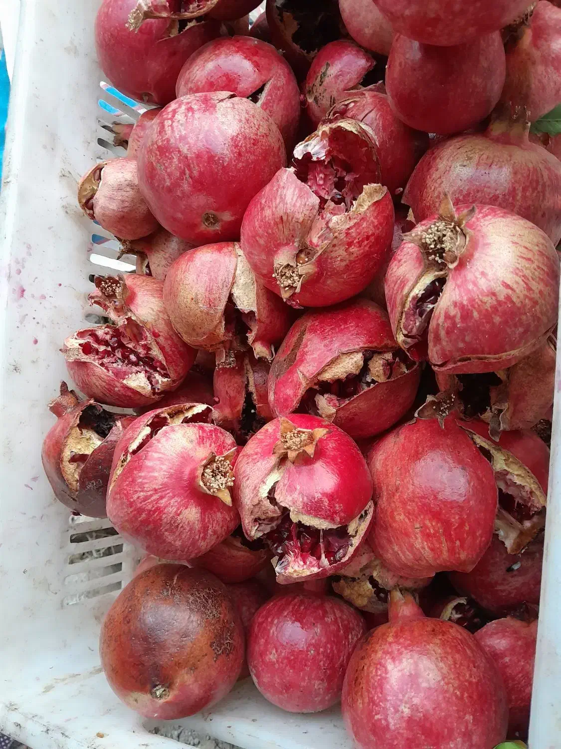 فروش انار ترکیده درجه یک دون مشکی|خوردنی و آشامیدنی|ارسنجان, |دیوار