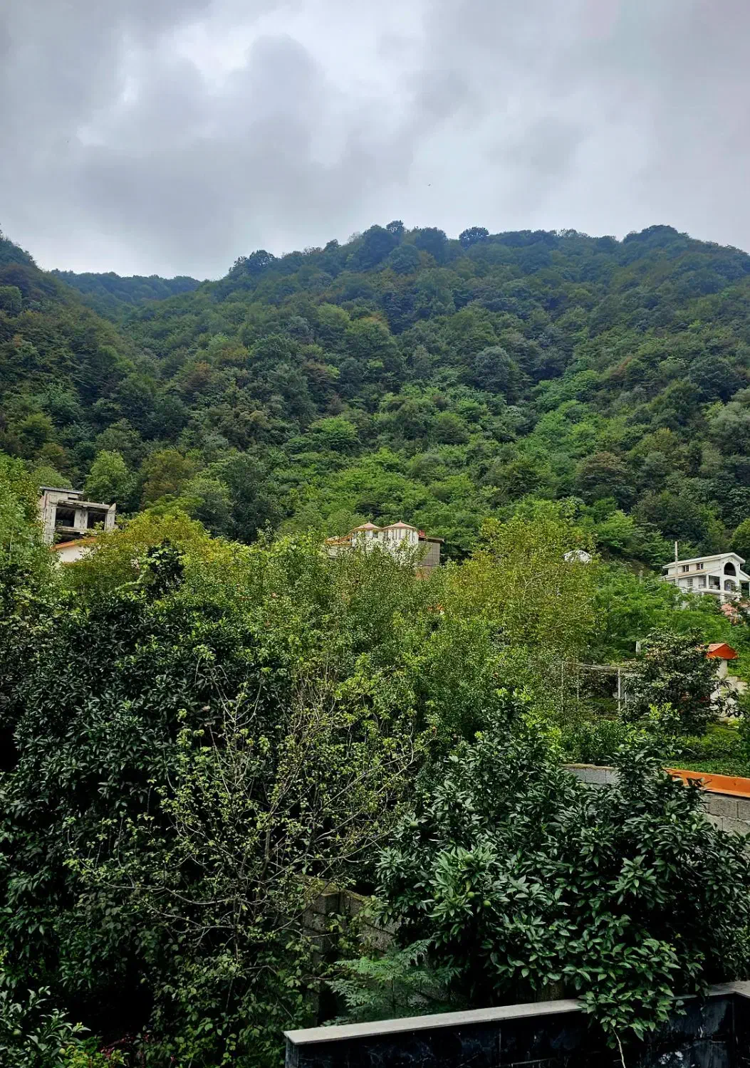 اجاره ویلای ۳ خواب دوبلکس با ویو جنگل و کوه|اجارهٔ کوتاهمدت ویلا و باغ|لاهیجان, لیالستان|دیوار