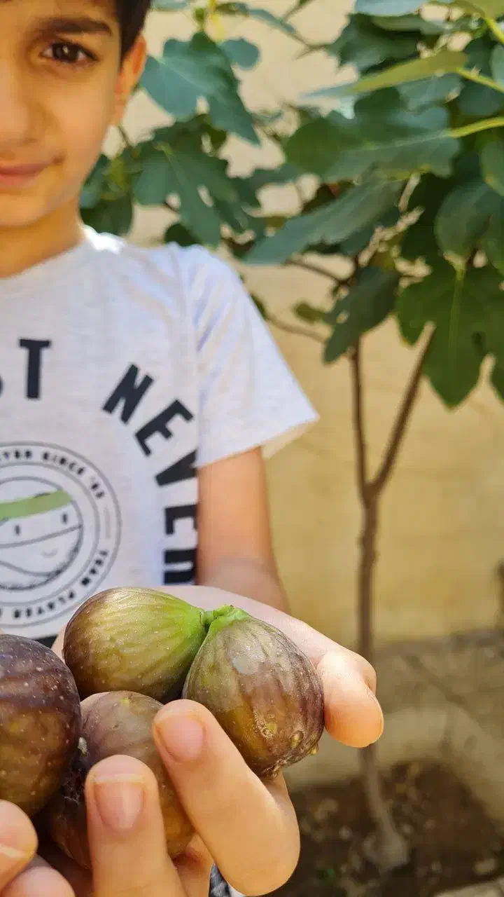 رهن یا اجاره خانه ویلایی|اجارهٔ خانه و ویلا|کبودرآهنگ, |دیوار