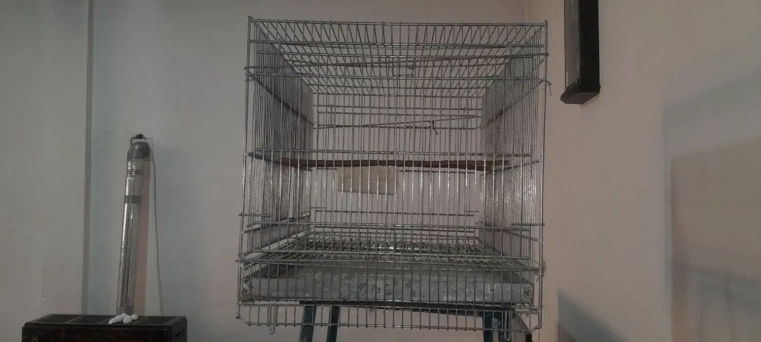 قفس پرنده|لوازم جانبی حیوانات|نسیم‌شهر, |دیوار