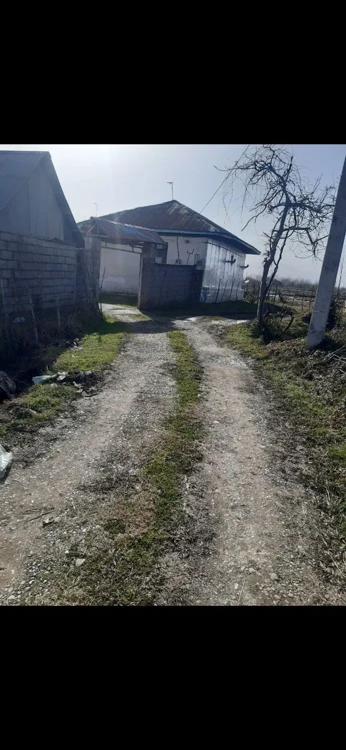 فروش زمین ۲ هزار متری کاملا مسکونی|فروش زمین و ملک کلنگی|رشت, باهنر|دیوار