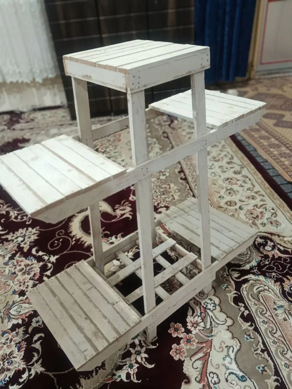 استندگل|گل و گیاه طبیعی|زابل, |دیوار