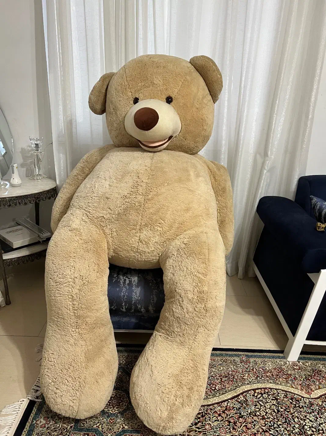 عروسک خرس|اسباب‌‌بازی|رشت, کوی یخ|دیوار