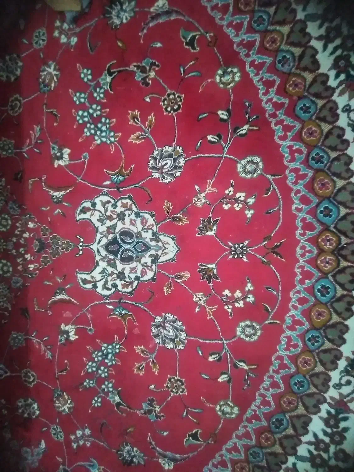 فروش فرش زیر قیمت|فرش|سپیدان, |دیوار