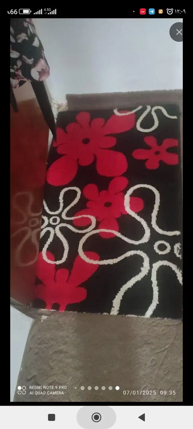 قالیچه و پادری پرده|فرش|آستانه اشرفیه, |دیوار