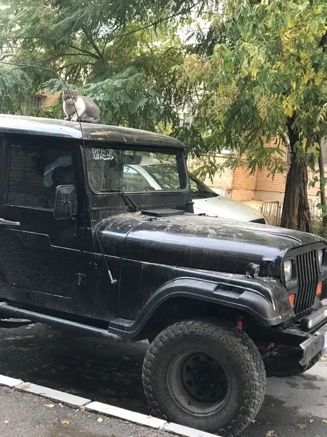 جیپ صحرا مدل ۷۴|خودرو سواری و وانت|ارومیه, |دیوار