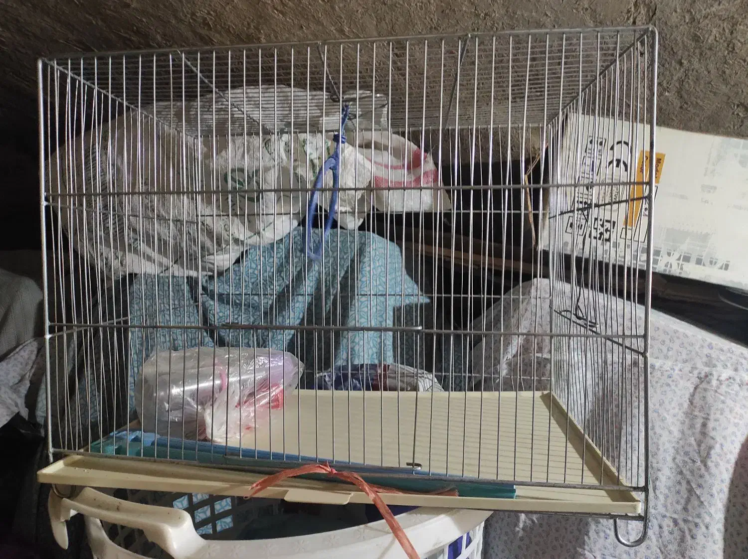 قفس پرنده|لوازم جانبی حیوانات|اصفهان, رکن الدوله غربی|دیوار