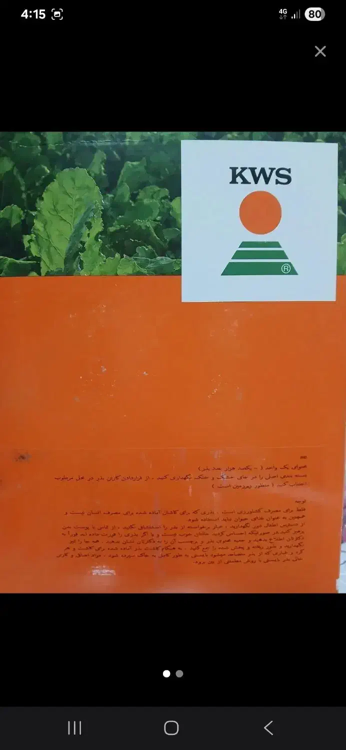 بذر چغندر (اکازیا)|گل و گیاه طبیعی|سرپل ذهاب, |دیوار