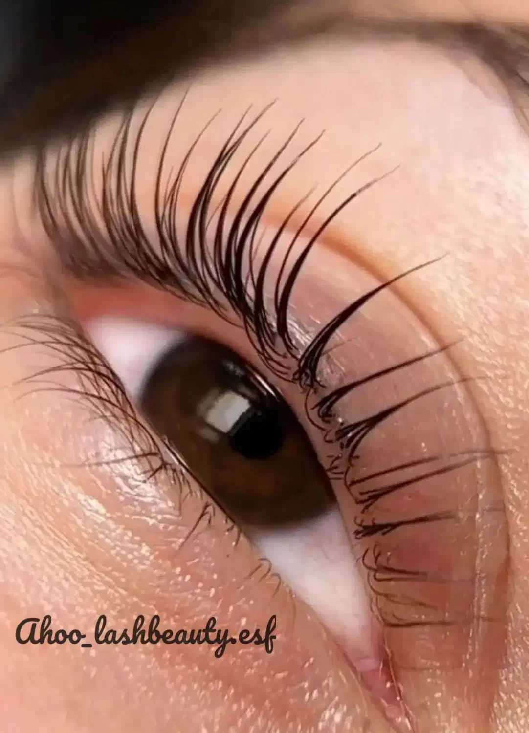 لیفت و لمینت مژه و ابرو فشیال و پاکسازی صورت|خدمات آرایشگری و زیبایی|اصفهان, شیخ اشراق|دیوار