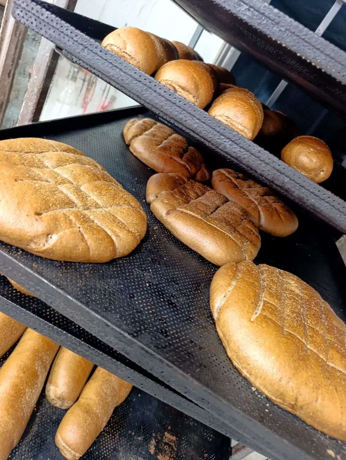 نان های حجیم فانتزی|خوردنی و آشامیدنی|آستارا, |دیوار