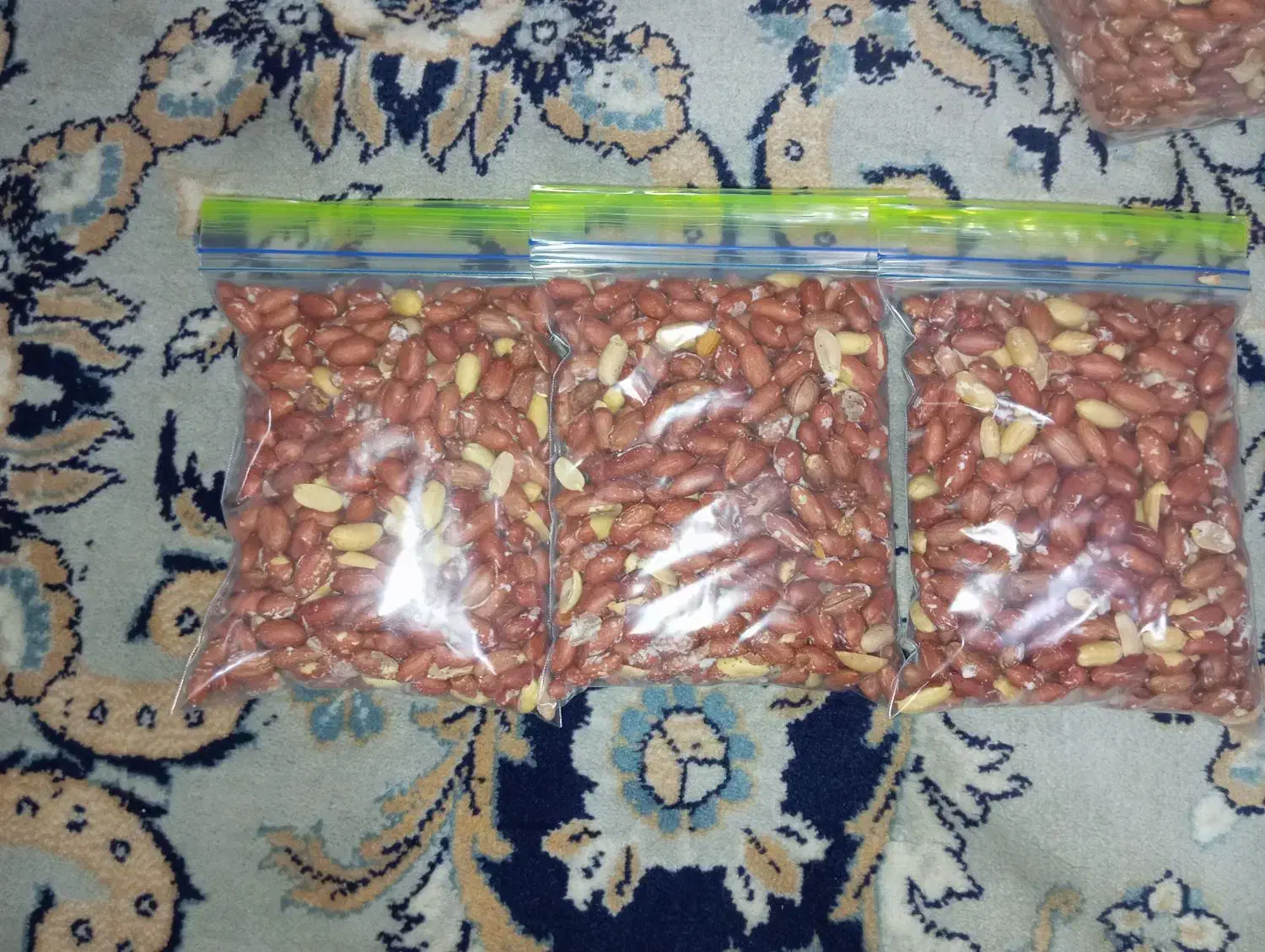 بادام زمینی اعلا و تازه مغان|عمدهفروشی|فردیس, شهرک شهید حسینی|دیوار