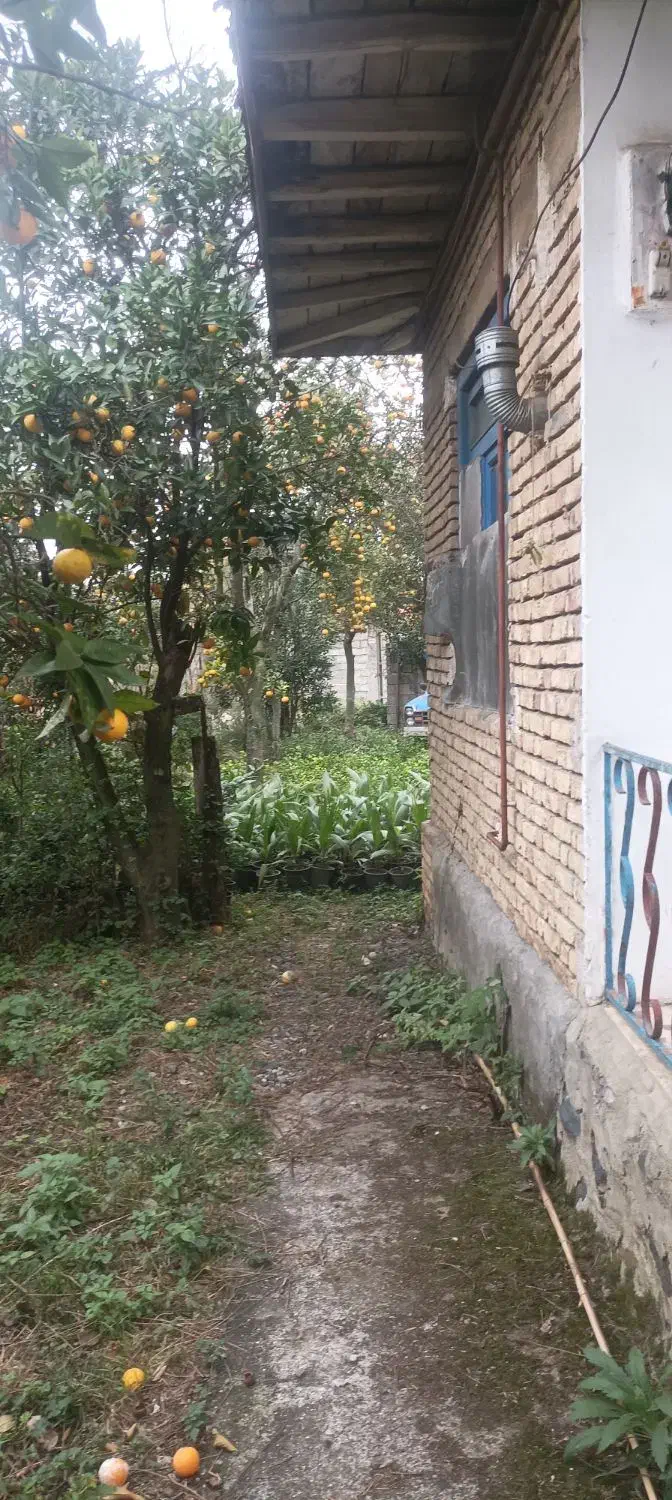 ویلای کلنگی ۸۰متریو زمین ۳۵۰متر|فروش زمین و ملک کلنگی|چابکسر, |دیوار