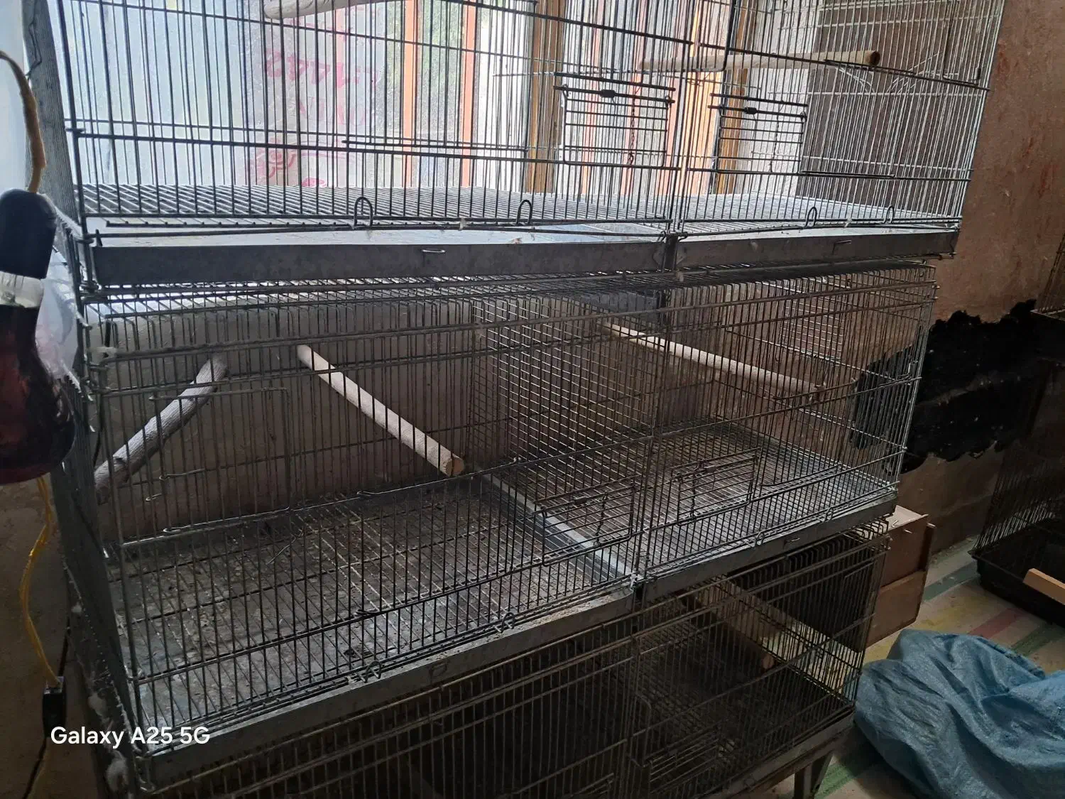 تعدادی قفس پرنده دست دوم|لوازم جانبی حیوانات|رشت, گلسار|دیوار