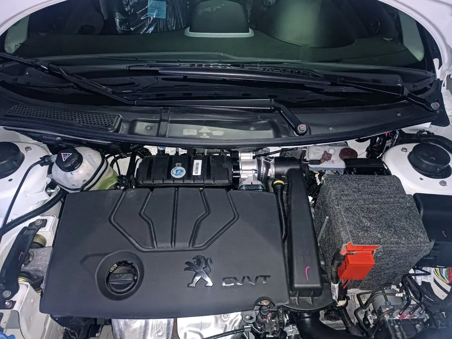 207 پانا مدل 1404  TU5 پلاس|خودرو سواری و وانت|سنندج, |دیوار