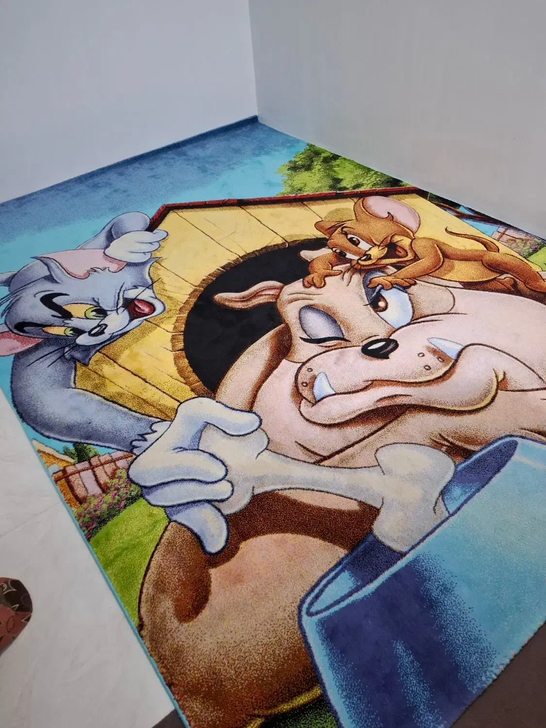 فرش اتاق کودک در حد نو|فرش|کرج, کمالشهر|دیوار