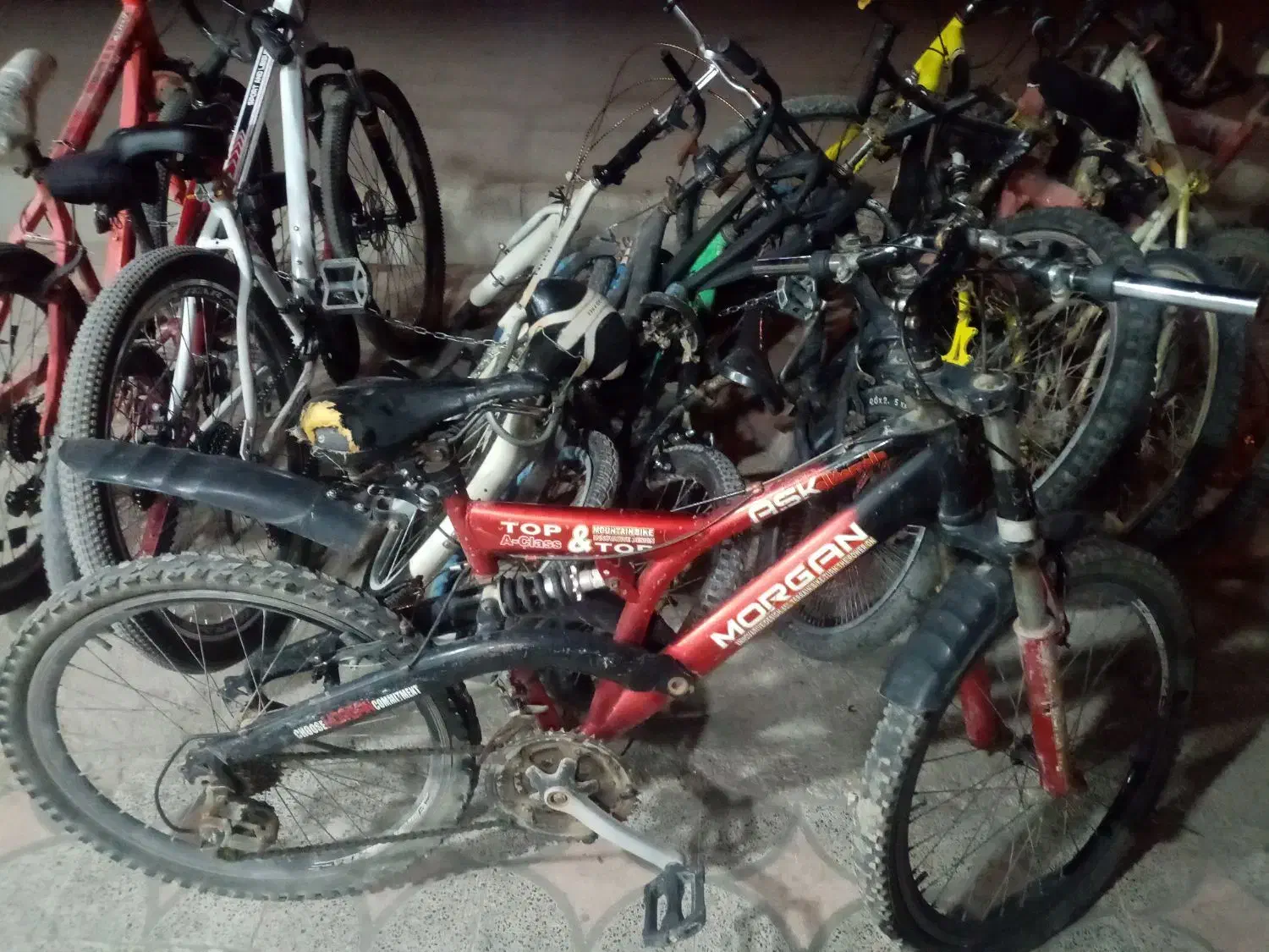 فروش فوری دوچرخه 24|دوچرخه، اسکیت، اسکوتر|برازجان, |دیوار