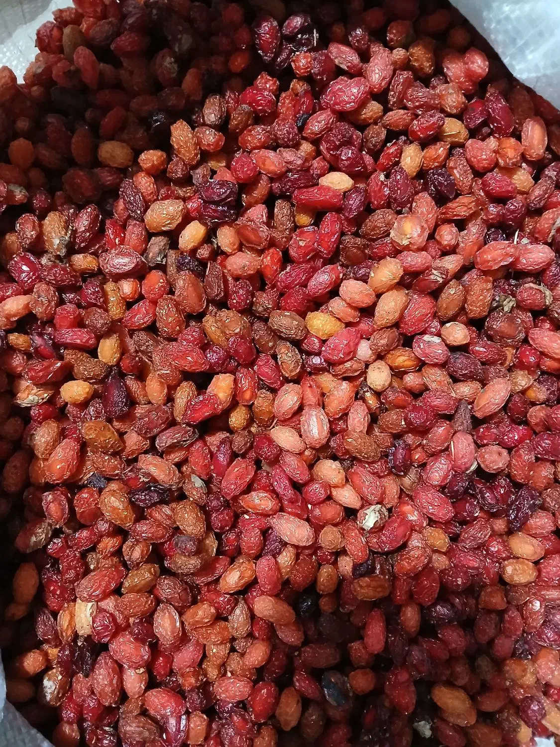 ذغال خشک دودی|خوردنی و آشامیدنی|جلفا, |دیوار