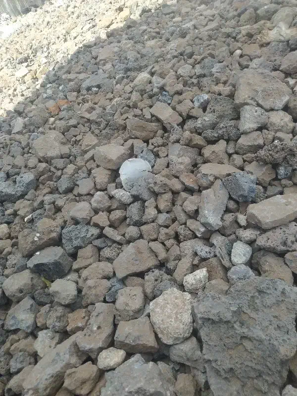 تنها|گردهمایی و همایش|زیباشهر, |دیوار