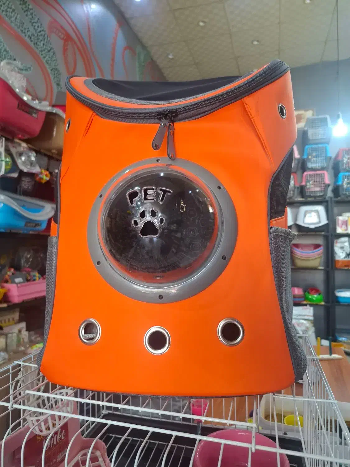 کوله پشتی حباب دار|لوازم جانبی حیوانات|قم, حکمت شمالی|دیوار