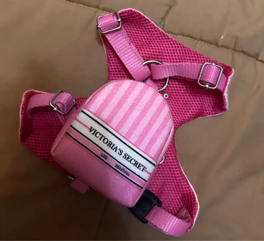 قلاده سگ|لوازم جانبی حیوانات|رشت, استادسرا|دیوار