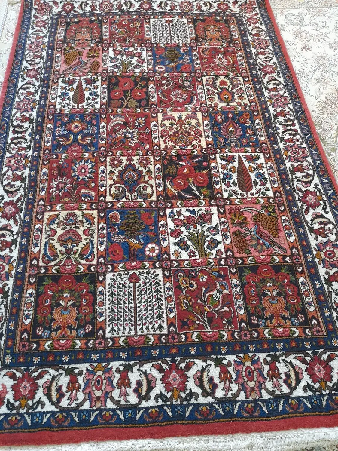 قالی دست بافت|فرش|شهرکرد, |دیوار