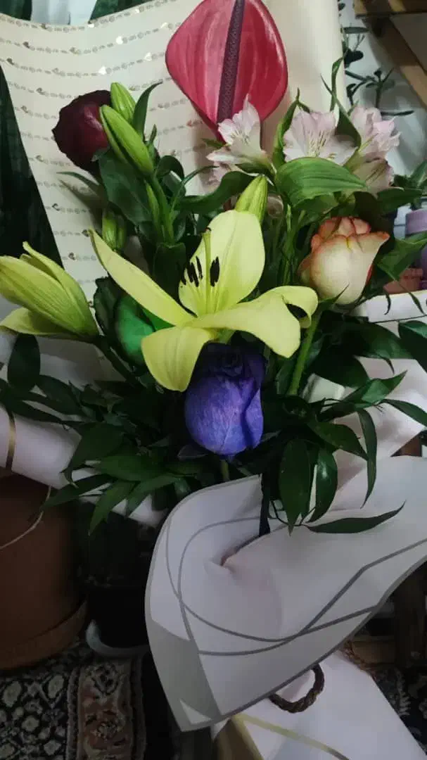 پرستار کودک خانم|استخدام آموزشی|اردبیل, |دیوار