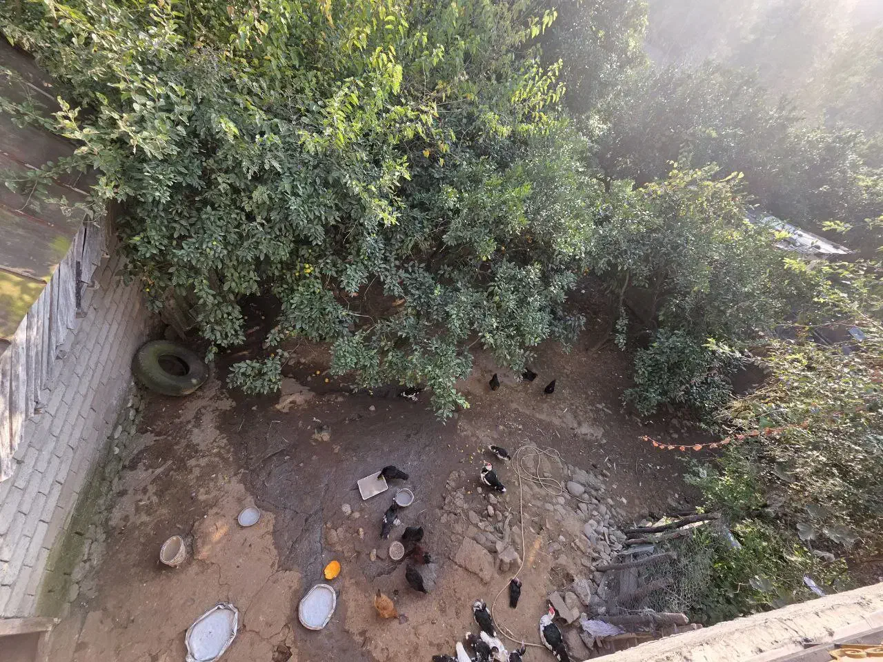 اجاره ویلا 90 متر دو طبقه سالیانه  سوادکوه/شیرگاه|اجارهٔ خانه و ویلا|شیرگاه, |دیوار