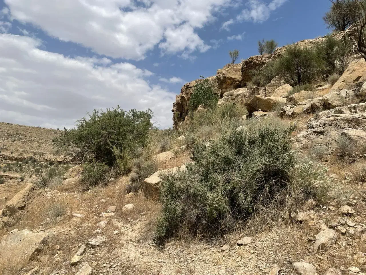 معاوضه اپارتمان با خونه باغ|فروش آپارتمان|شیراز, آزادگان|دیوار