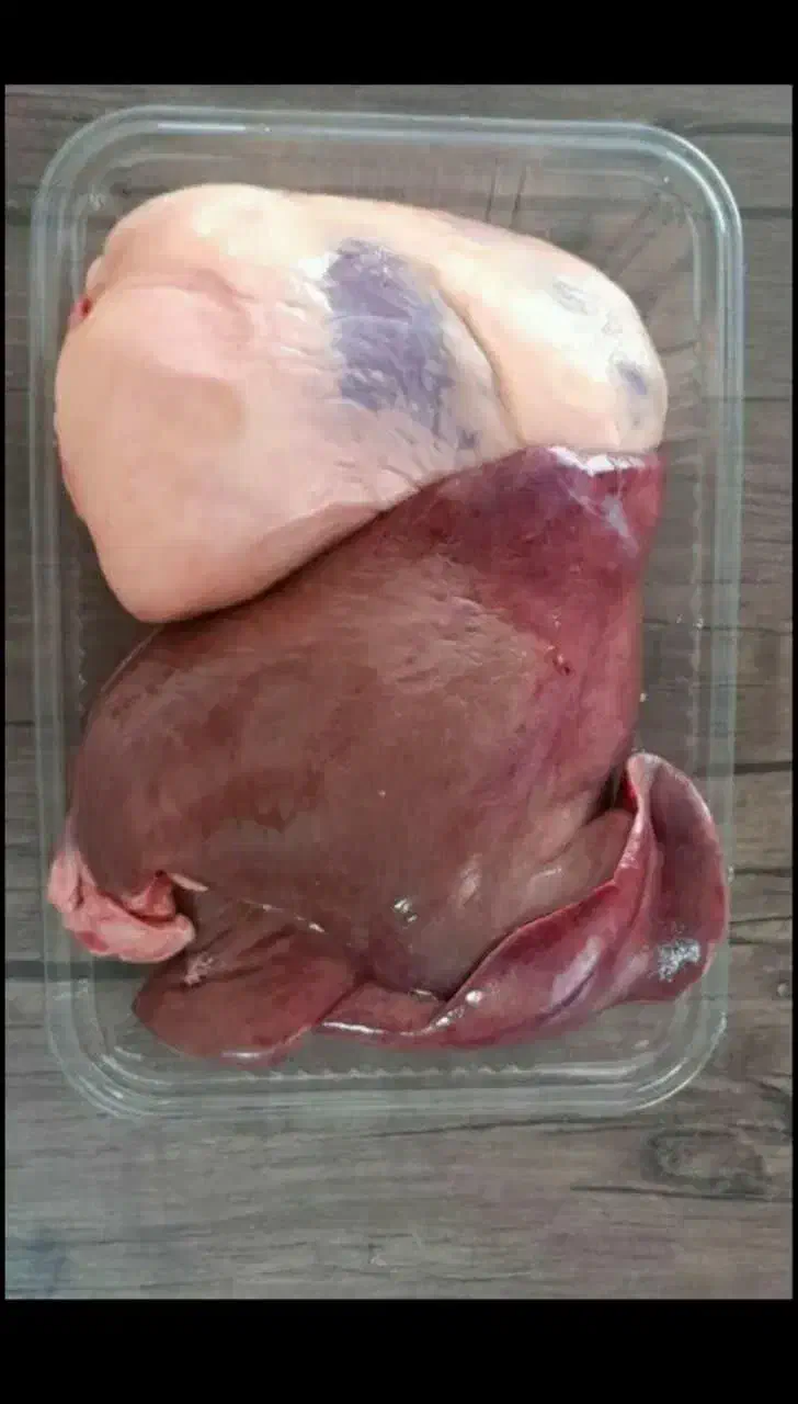 پخش گوشت شترمرغ کشتارروز،گرم|خوردنی و آشامیدنی|لالجین, |دیوار