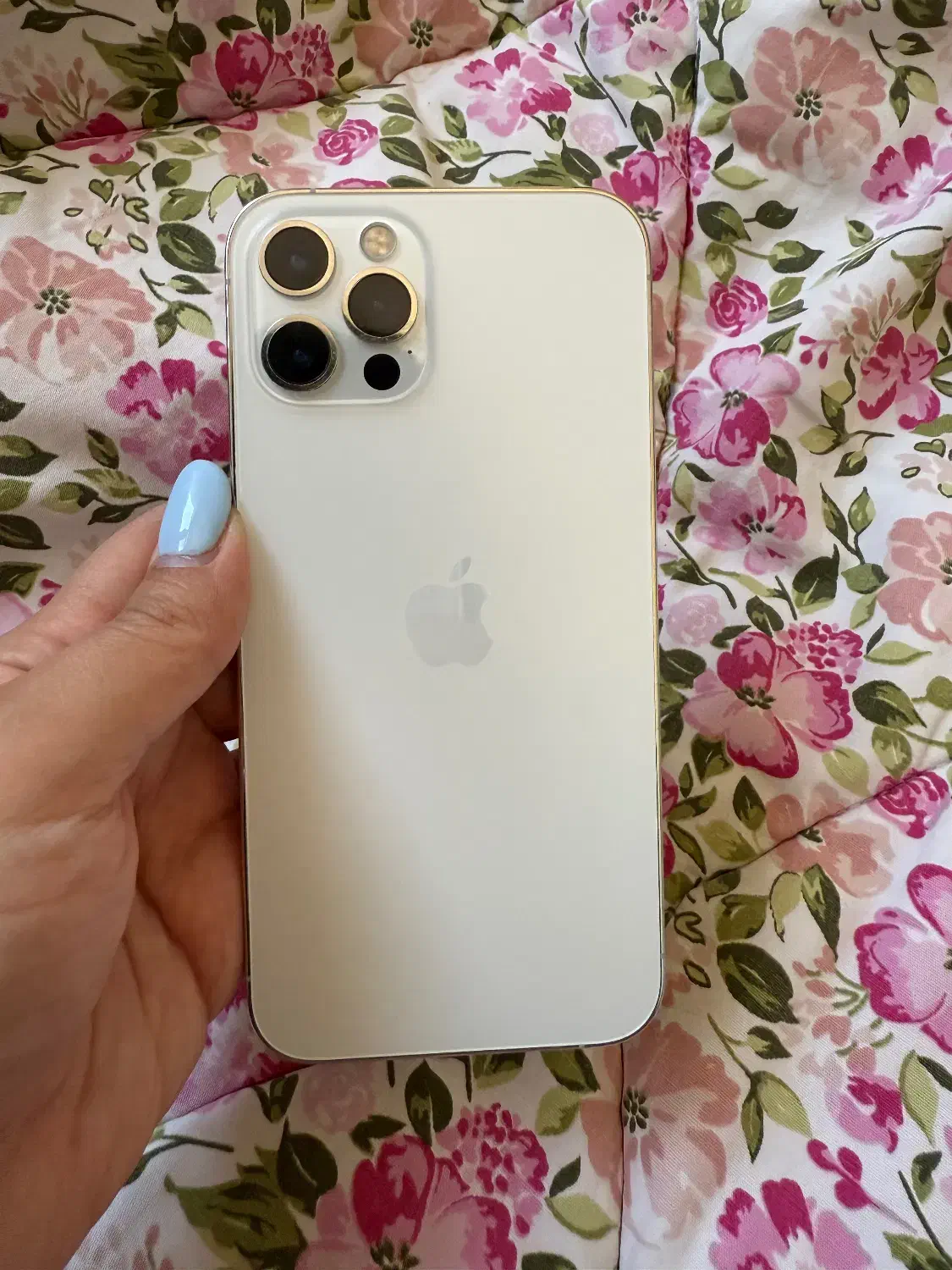 آیفون ۱۲ پرو|موبایل|کرمان, |دیوار