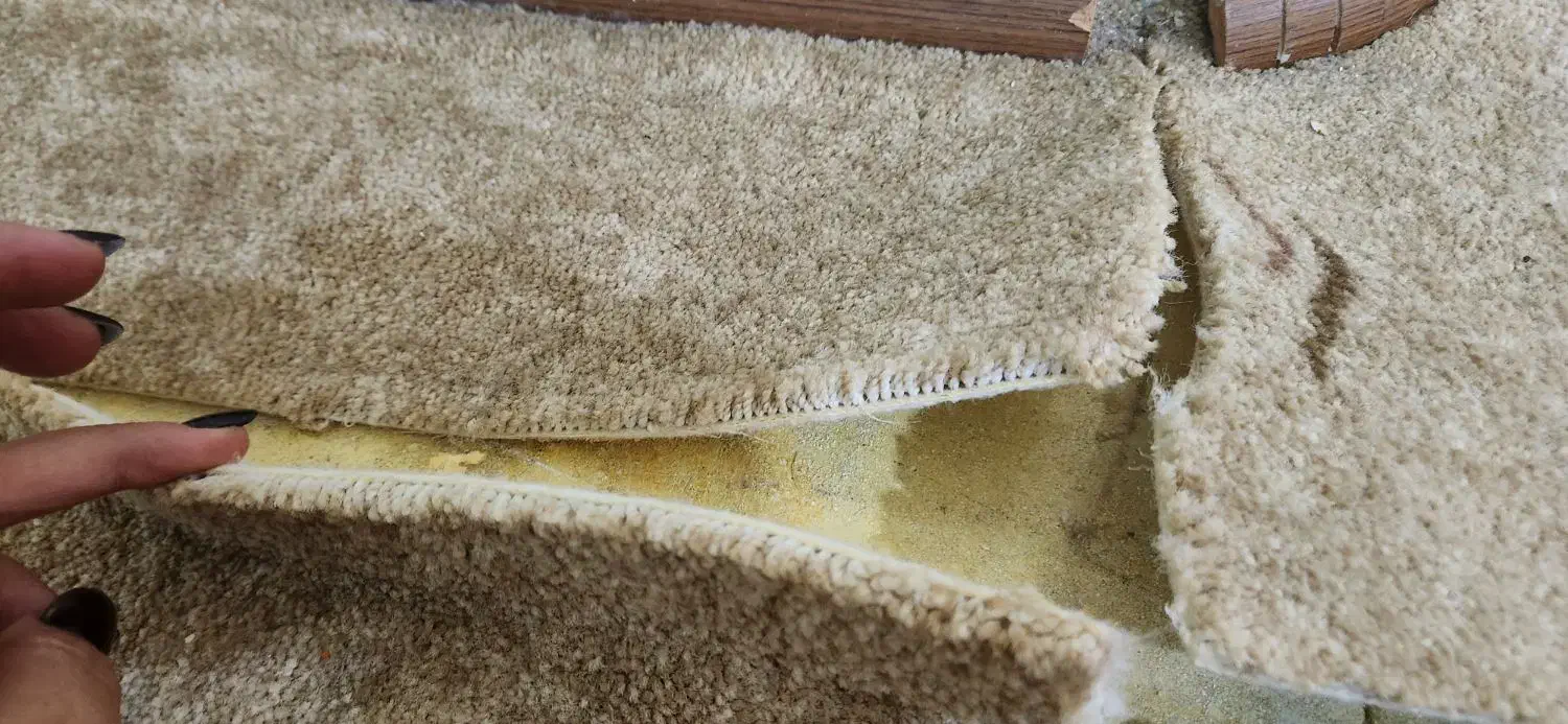 موکت پالاز . پنجاه متر|موکت|بندر ماهشهر, |دیوار