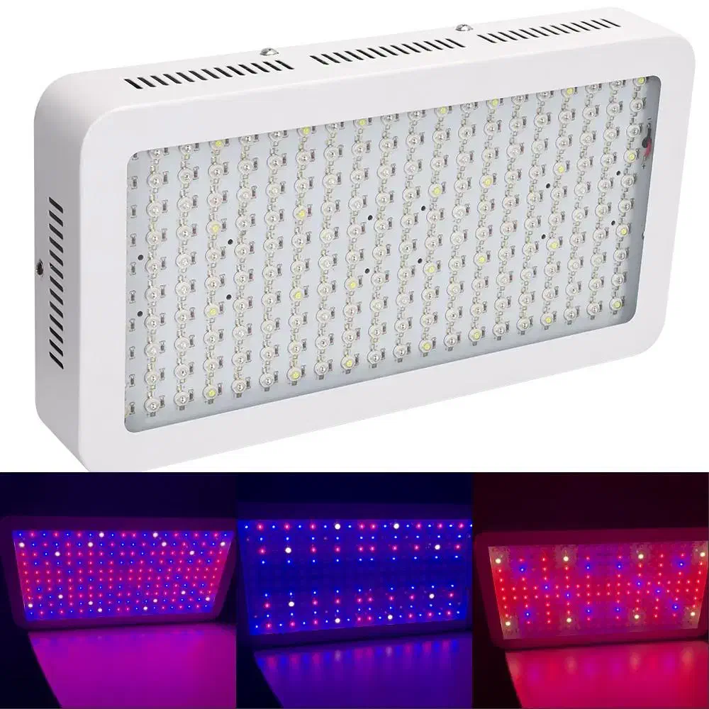 لامپ رشد گیاه هزار وات|لامپ و چراغ|همدان, |دیوار