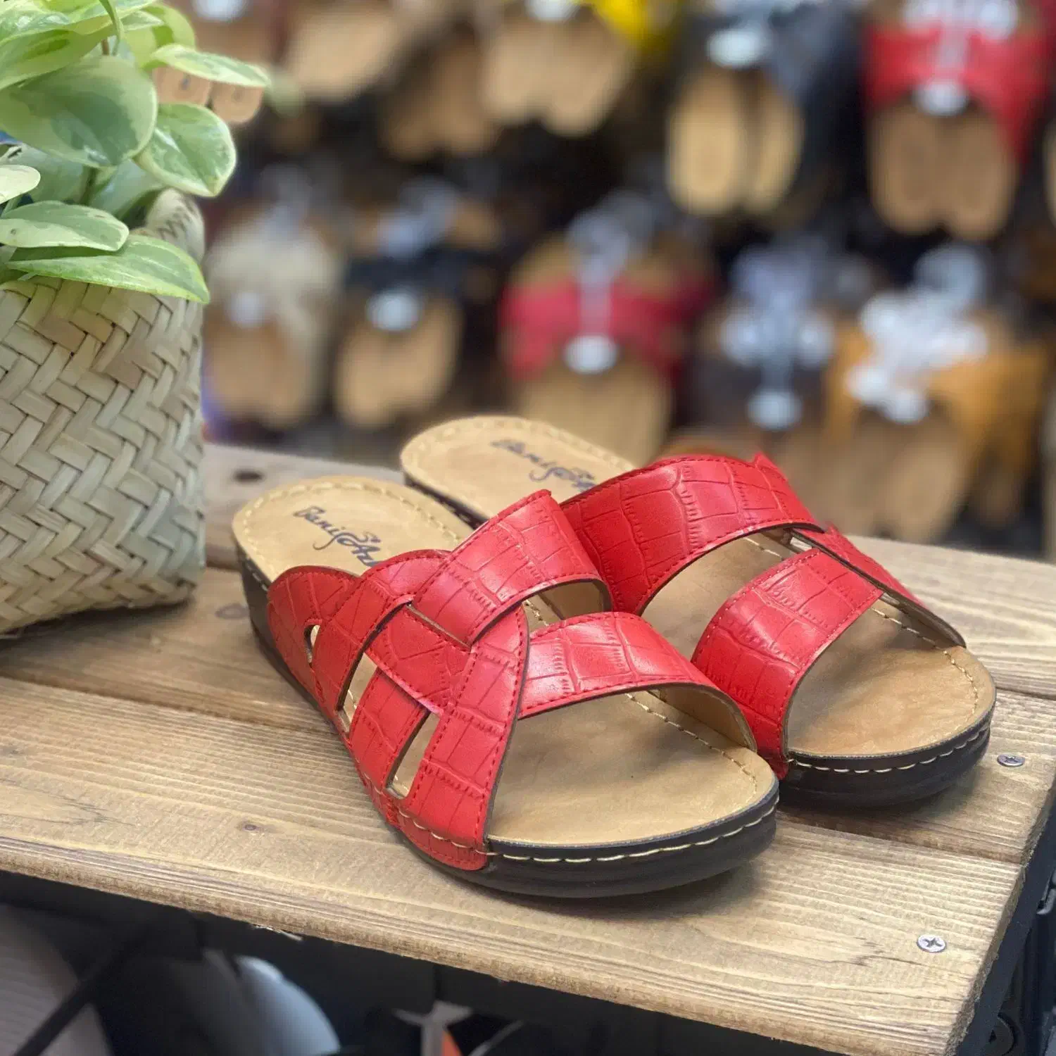 پخش عمده دمپایی|کیف، کفش، کمربند|کاشمر, |دیوار