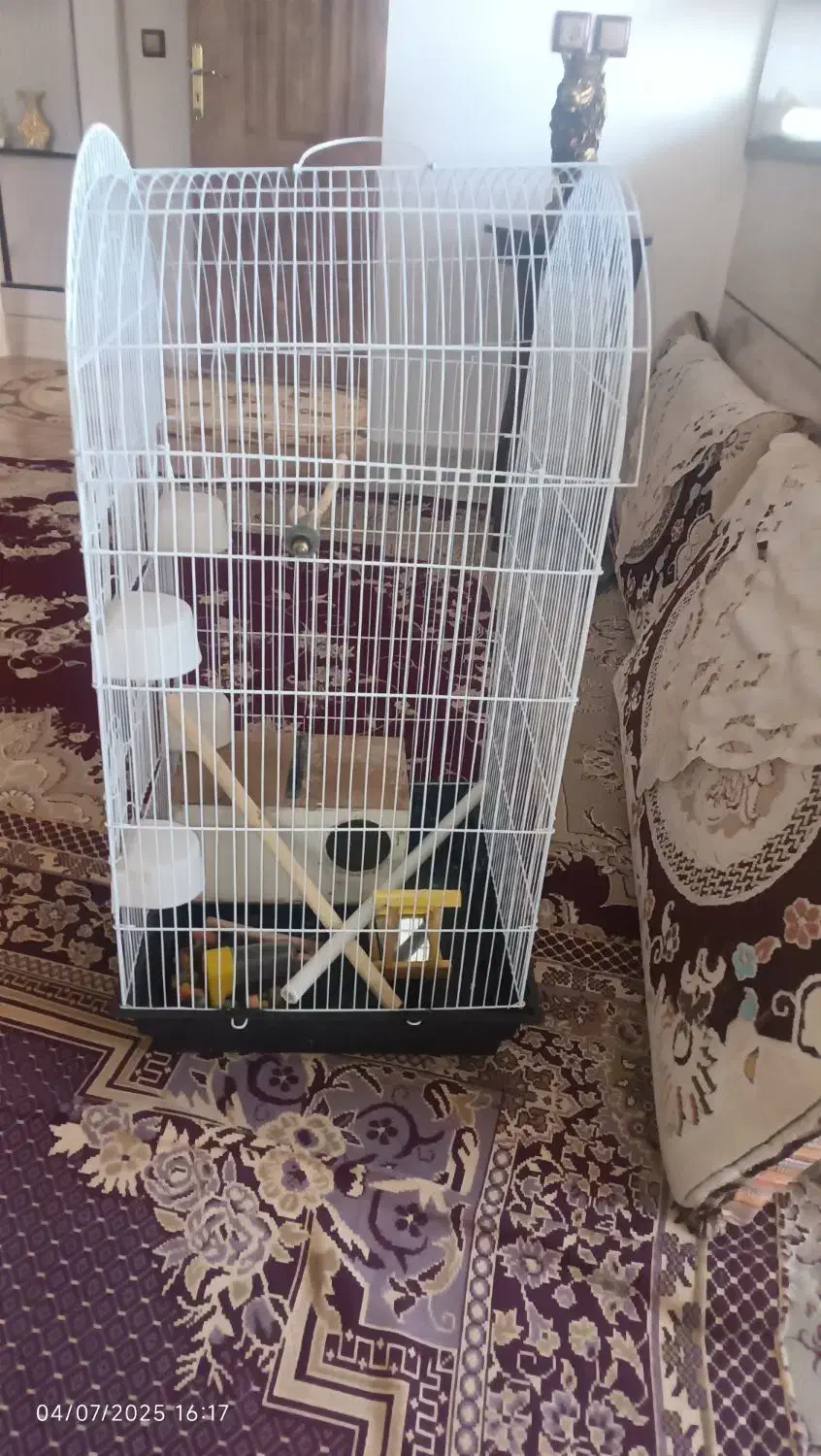 قفس پرنده|لوازم جانبی حیوانات|تربتحیدریه, شهرک ولیعصر|دیوار