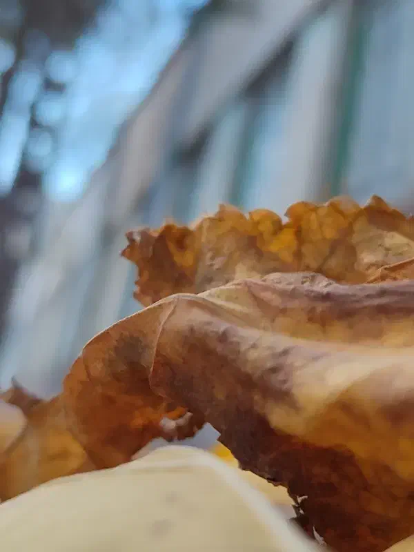 کمک کنید|فعالیت داوطلبانه|قوچان, |دیوار