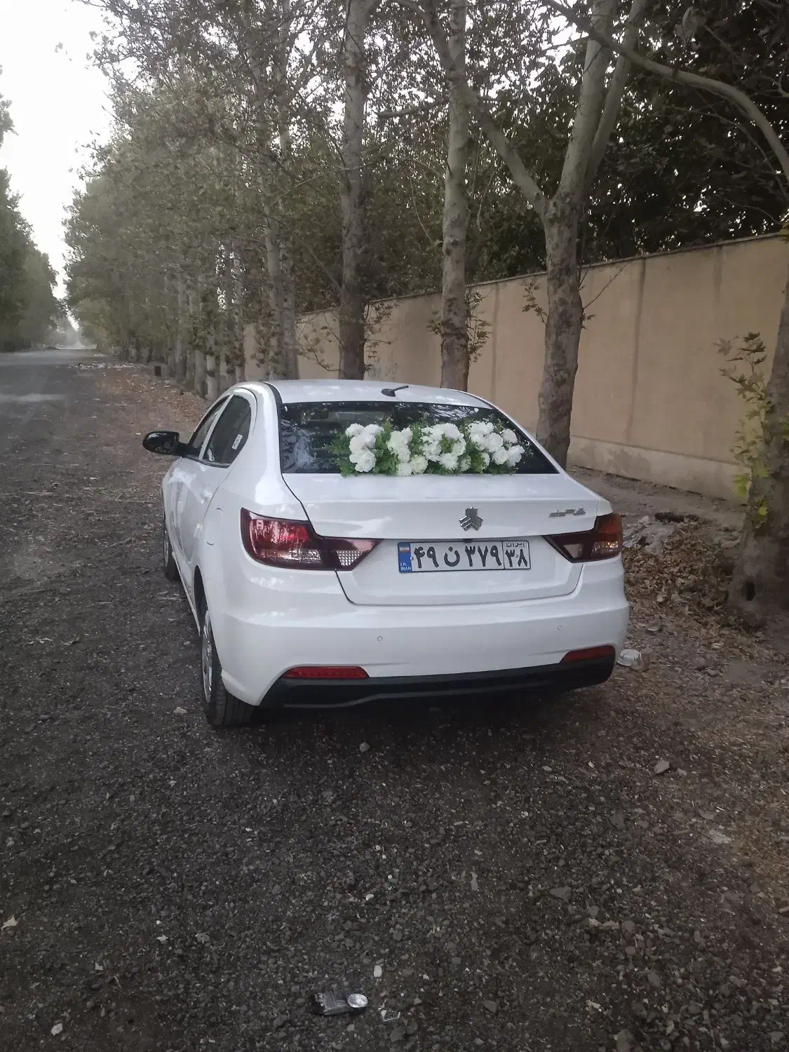 اجاره ماشین عروس شاهین|گل و گیاه طبیعی|فردیس, شهرک راه آهن|دیوار